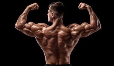 The most important bodybuilding competitions in Germany in the second half of 2023